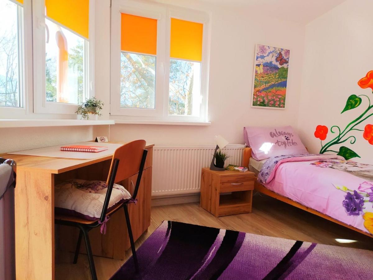 Дом За Гости Осогово Apartment Kyustendil Luaran gambar